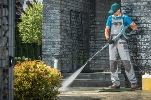 Best Sidewalk and Walkway Cleaning  in Hallandale Beach, FL