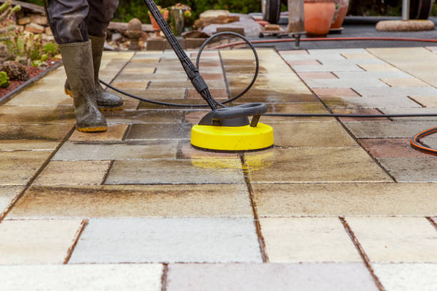 Best Gutter Cleaning  in Hallandale Beach, FL