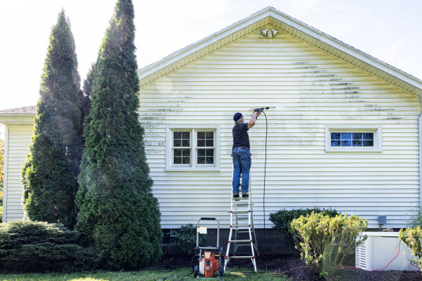 Best Dumpster Area Cleaning  in Hallandale Beach, FL